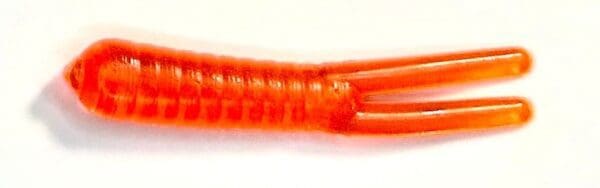 A close up of an orange stick