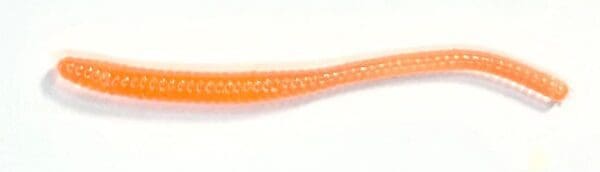 A close up of an orange cord