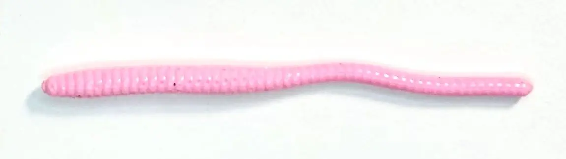 A pink worm is on the white surface.