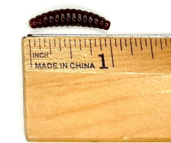 A wooden ruler with a small piece of wood on top