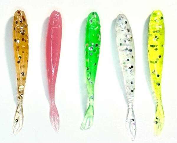 A group of five different colored fish are lined up.