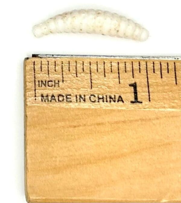 A wooden ruler with a small piece of plastic