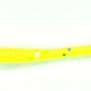 A yellow toothbrush with white dots on it.