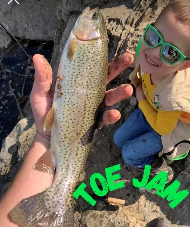 A young person holding a fish in their hand.