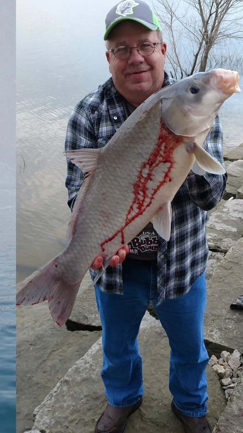 A man holding a fish with blood on it.